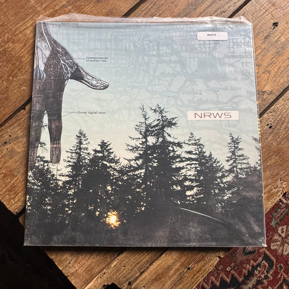 Narrows "New Distances" LP (White)